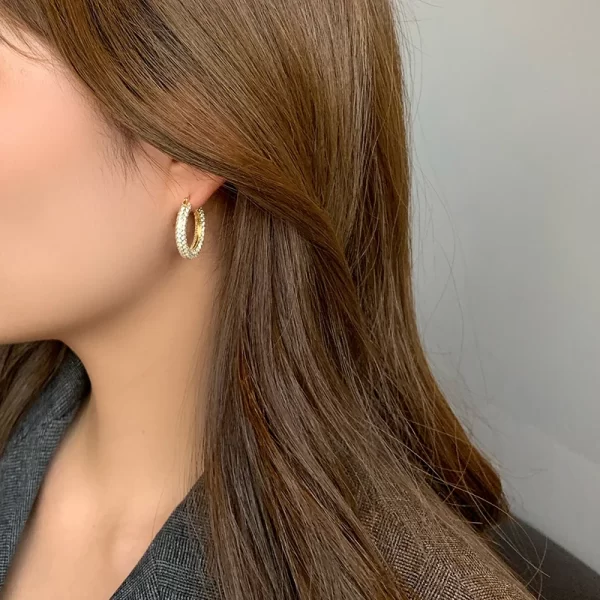 Peri'sBox  Large Small Chunky Hoop Earrings Set With Zircon Huggie Earring Hoops Unusual Cute Trendy Earrings For Women Gifts - Image 6