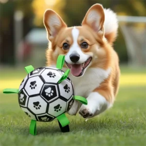 Dog toy ball, Border Collie self-play toy, Labrador Corgi training-specific dog soccer ball, bite-resistant pet supplies