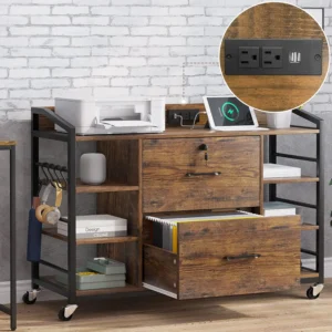 44" File Cabinet, Filing Cabinet fits Legal/Letter Size, 2 Drawer File Cabinets for Home Office with Lock, Power, Customized
